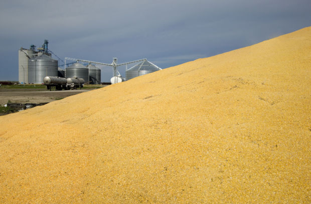 Edison grain